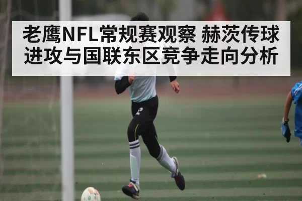 老鹰NFL常规赛观察 赫茨传球进攻与国联东区竞争走向分析