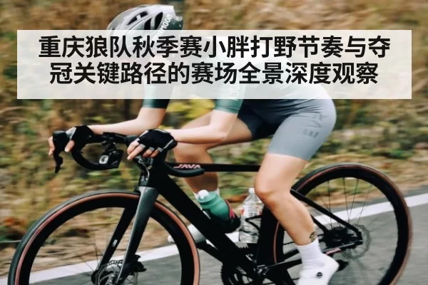 重庆狼队秋季赛小胖打野节奏与夺冠关键路径的赛场全景深度观察